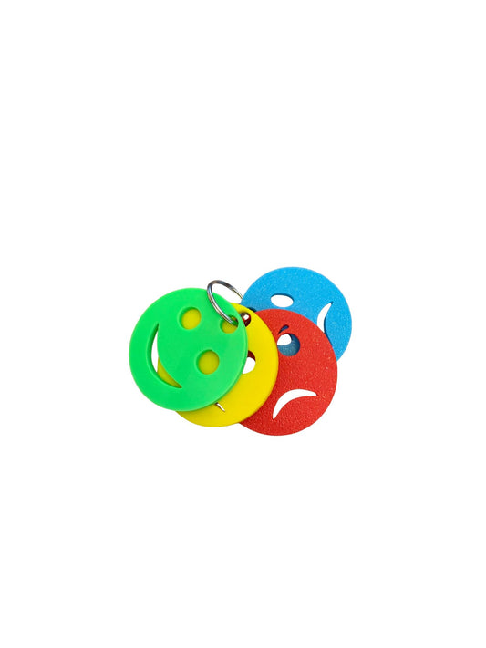 Zones of Regulation - Mood Disc Keyring